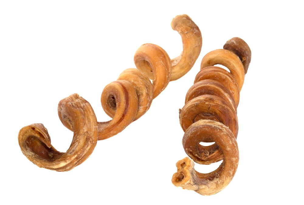 12″ Jumbo Curly Bully Stick