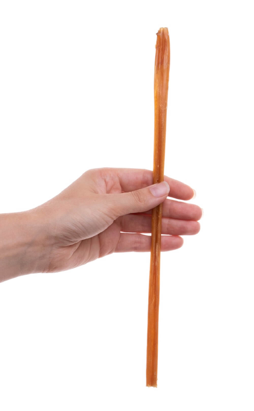 12″ Steer Bully Sticks