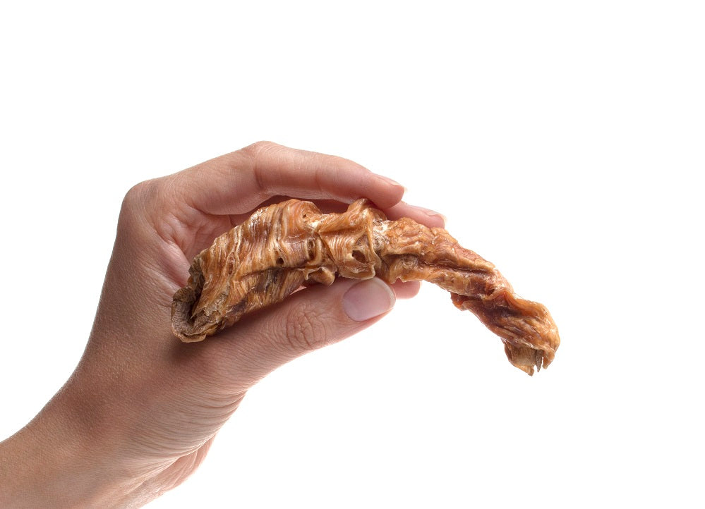 Chicken & Butternut Squash Twists